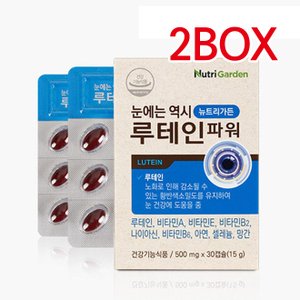  뉴트리가든  눈에는 역시 루테인파워 500mg x 30캡슐 2BOX