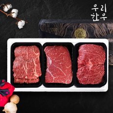 [냉장][우리한우] 1등급 한우 정육세트 1호 900g (불고기300g+국거리300g+산적300g)