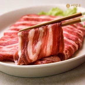 [예담우]1++한우 예담차돌 1kg(250g X 4팩)