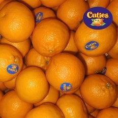  [팜쿡] 만다린귤 큐티스 만다린 cuties 1kg 12-15과내외
