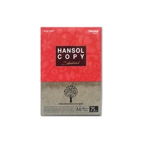 한솔카피 A4 용지 복사용지 75g 250매 낱권