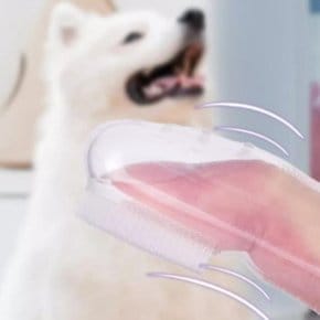투명 실리콘 손가락 칫솔 애완동물 치아관리 구취제거 (41036272)