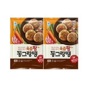 [대림냉동] 대림선 육즙팡 동그랑땡600g(300x2) x2개