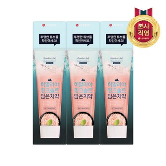 엘지생활건강 히말라야핑크솔트 치약 100g*3(아이스)