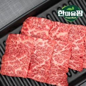 [한마음팜] 1등급 암소 한우 살치살 600g (300g x 2팩)