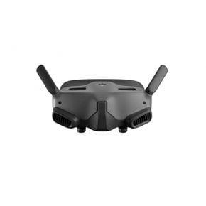 DJI 고글 2