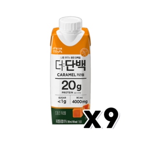 빙그레 더단백 카라멜 멸균팩 프로틴음료 250ml x 9개