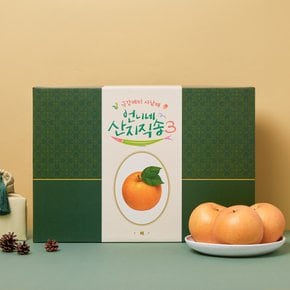 [언니네 산지직송] 나주배 선물세트_5KG(박스)