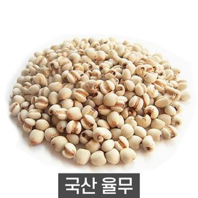 더알찬곡물 국산 율무 2kg 1봉