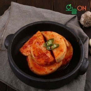 [진프른] 오늘ON 석박지 2kg (국내산)