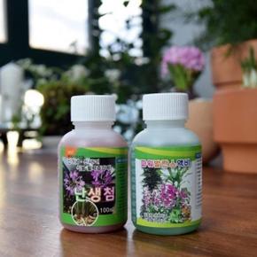 동양란 난 란 영양제 활력제 다육이 비료 정원 잎 열매 거름 화분 가드닝 나무 퇴비