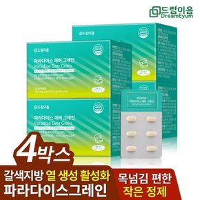 드림이음 파라다이스 그레인 에버 데일리 루틴 그래인 60정 4개월분