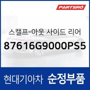 G70 사이드미러커버 백미러커버,운전석쪽 (라피스 블루) (87616G9000PS5)