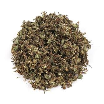 셀러허브 신선약초 국산 특상급 진득찰 100g 털진득찰 희첨 희렴 저고 호고 (S10455838)