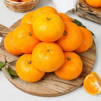  탱글탱글 과육 천혜의향 선별된 제주 천혜향 가정용 2.5kg 소과(15-20과)