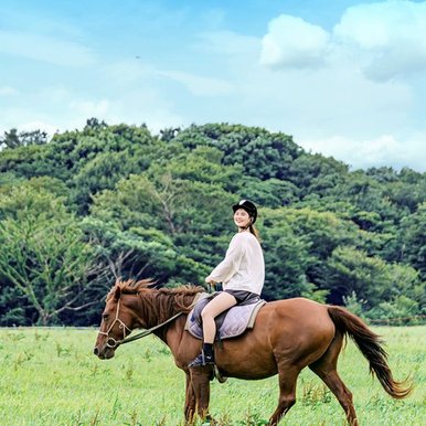 [제주] 삼다수목장