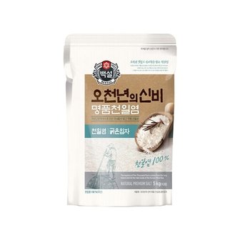 CJ제일제당 백설 명품 천일염 오천년의 신비 굵은입자 소금 5kg x1개