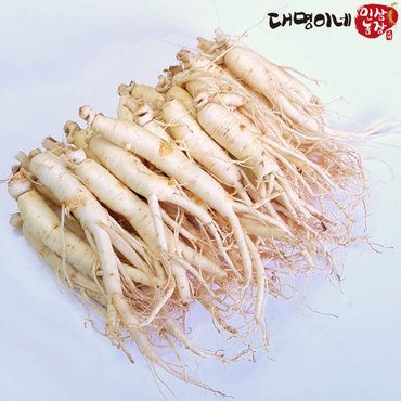 대명이네 인삼농장 (세척) 중 삼계삼 30-40뿌리내외 750g/인삼 수삼 주스용 홍삼용 삼계탕용