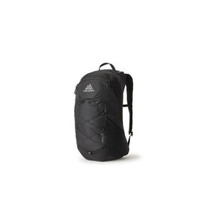 그래고리 백팩 30J39010 FLAME BLACK  DOM