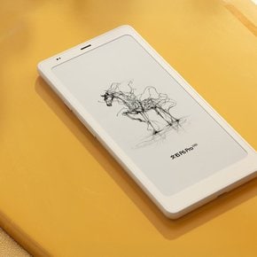 북스 팔마2 P6 PRO 6.13인치 흑백 이북리더기 전자책 중국내수용