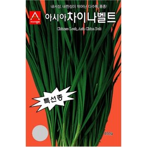 부추씨앗종자 차이나벨트(20g)