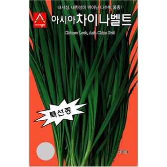 아시아종묘 부추씨앗종자 차이나벨트(20g)