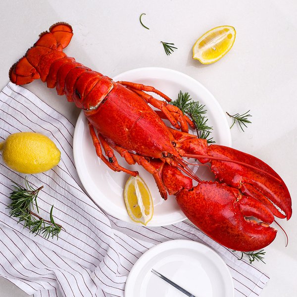 캐나다 자숙 랍스터 1박스 4.45kg 바닷가재 - SSG.COM