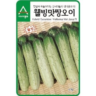 아시아종묘 오이씨앗종자 웰빙맛짱 오이(노각오이) (500립)