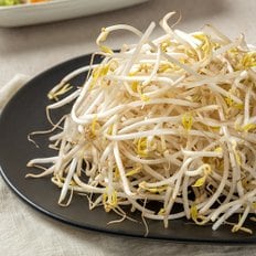 자연진리 천연암반수로 키운 아삭아삭 숙주나물 4kg