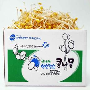 [헤이달다] 국산 무농약 콩 산소 콩나물 1kg