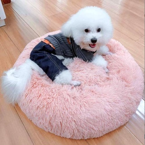 이미지2