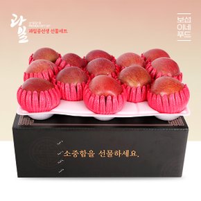 [명절 후 배송][보섭이네푸드]과일공선생 명품 사과선물세트 3kg(13과 내외)