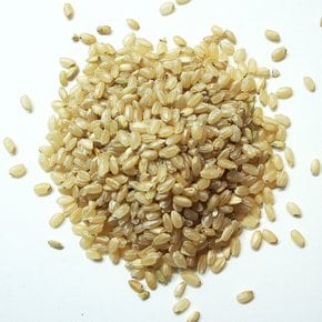 쌀500g 강화섬쌀 현미 23년 햅쌀