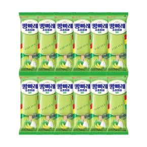 빵빠레 소프트바 멜론 75ml x12개