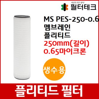 제이슨 생수용 MS PES 멤브레인 플리티드 필터 250mm 0.65um