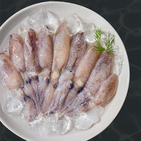 맘스 제철 활 호래기 생물 500g