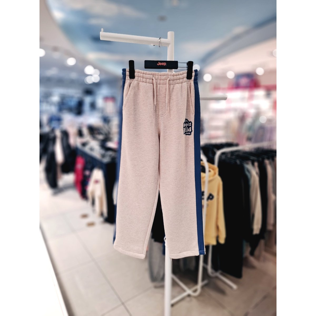 확대된 대표 IMAGE1