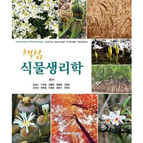 핵심 식물생리학