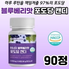 블루베리맛 포도당 캔디 사탕 CANDY 성인 남성 여성 바쁜 현대인 중년