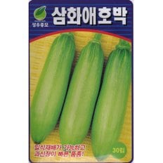 영농사 삼화 애호박 씨앗 30립 밀식 재배 가능한 호박 종자