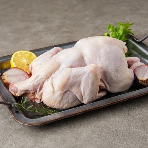 [SSG] [농할 20% 할인쿠폰 다운로드]하림)무항생제 백숙용 생닭500g