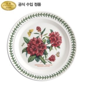 보타닉 가든 대접시(D형) 26CM 1P