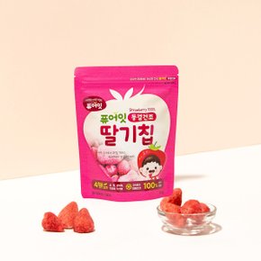 동결건조 딸기칩 10+2