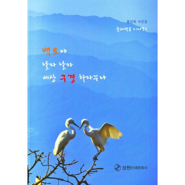 확대된 대표 default