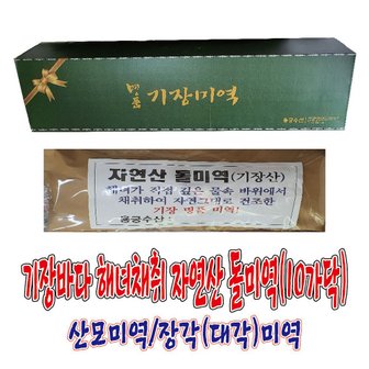 용궁수산 기장특산품 기장바다 해녀가 채취한 자연산 기장돌미역(95Cm,10가닥,550~650g)/대각미역/장각미역/산모미역/기장미역/해녀미역