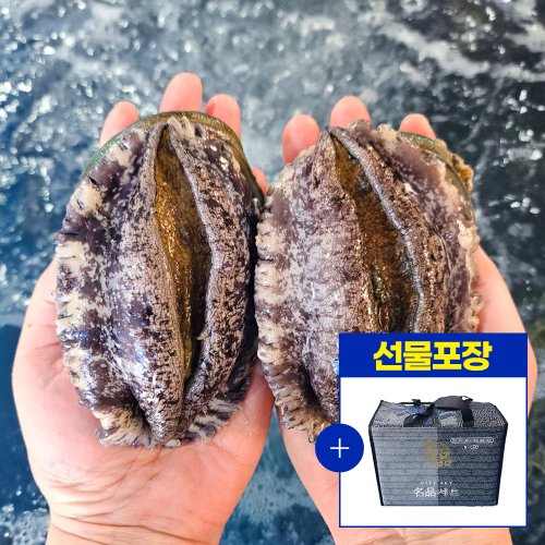 이미지1