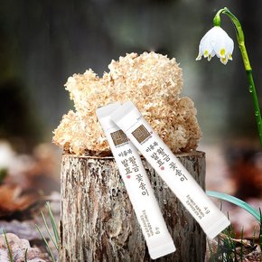 황금 꽃송이버섯 발효 분말 국내산 원목재배 유기농생산 스틱 30포 120g