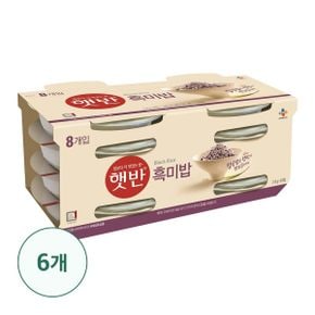 햇반 흑미밥210G x 48개