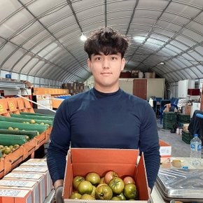 부산 대저토마토 2.5kg L