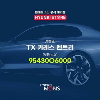 현대모비스 TX 키레스 엔트리 (95430O6000)